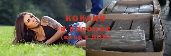 дмт Козельск
