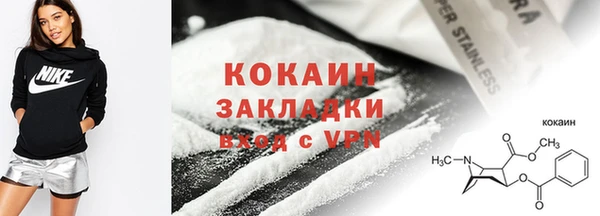 дмт Козельск