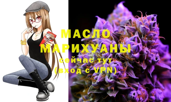 дмт Козельск