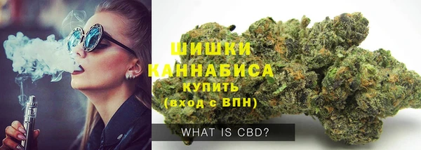 дмт Козельск