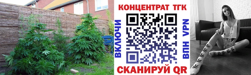 Купить где  Иноземцево  Дистиллят ТГК вейп с тгк 